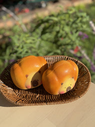Capybara Madeleines Squishy – Scented Kawaii Stress Toy for Kids & Adults