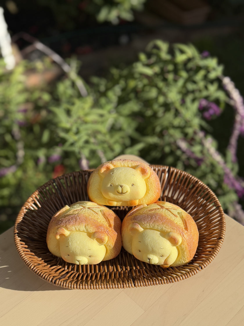 Little Bear Bun Food Squishy – Kawaii Scented Comfort Object