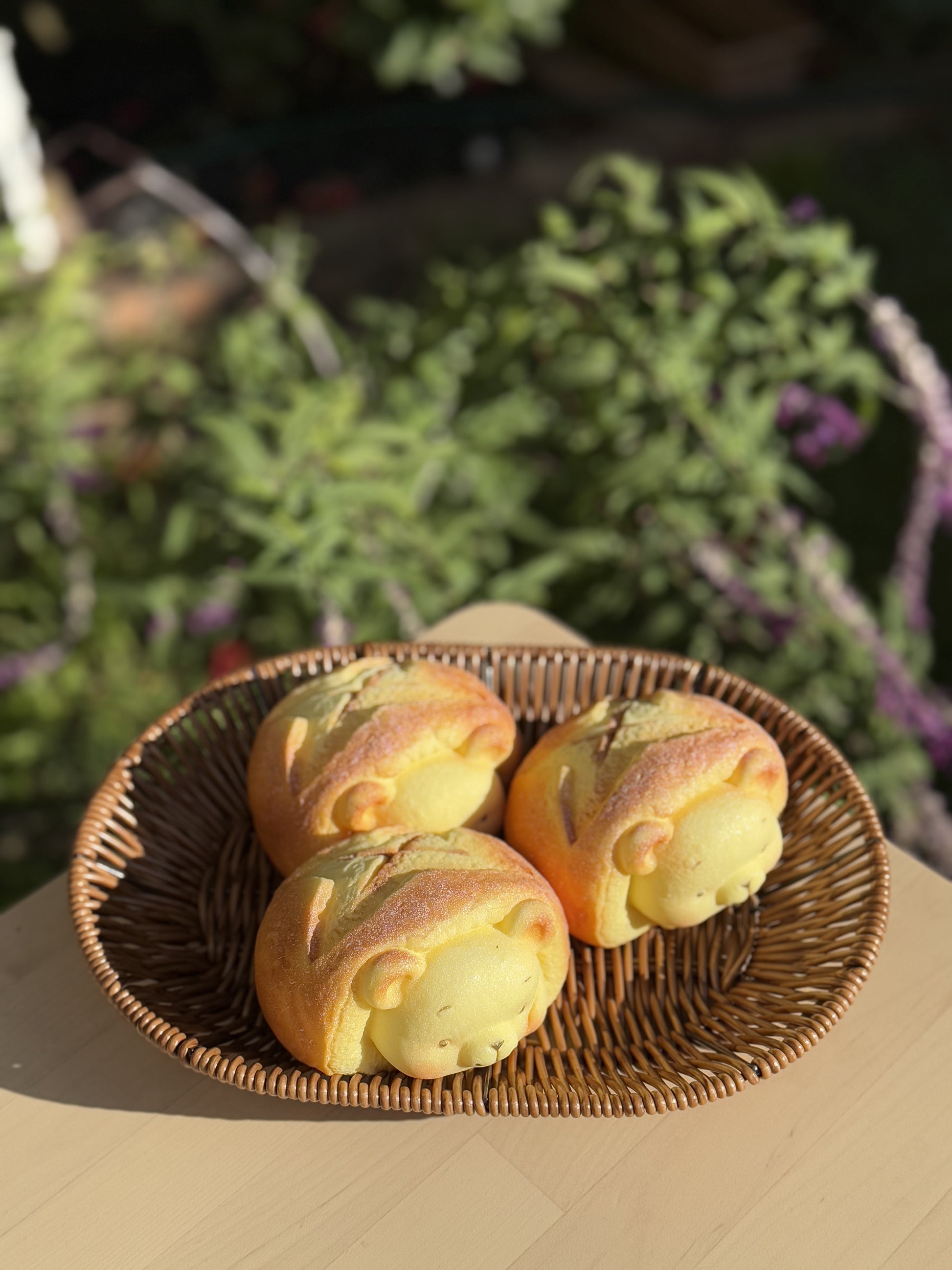 Little Bear Bun Food Squishy – Kawaii Scented Comfort Object