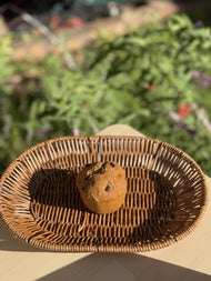 Realistic Muffin Food Squishy – Life-Sized Scented Stress Toy